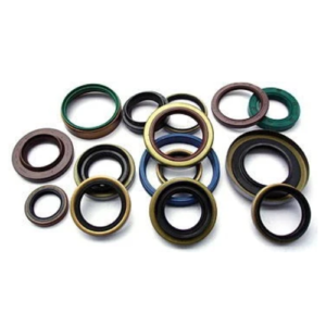 Oil Seals